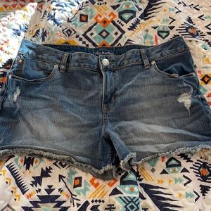 Maurices shorts